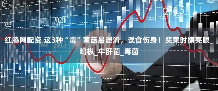 红腾网配资 这3种“毒”菌菇易混淆，误食伤身！买菜时擦亮眼_鸡枞_牛肝菌_毒菌