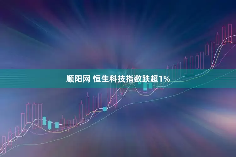 顺阳网 恒生科技指数跌超1%