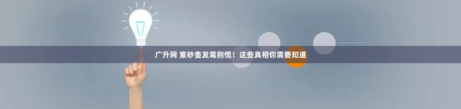 广升网 紫砂壶发霉别慌！这些真相你需要知道