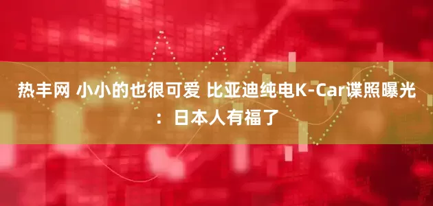 热丰网 小小的也很可爱 比亚迪纯电K-Car谍照曝光：日本人有福了
