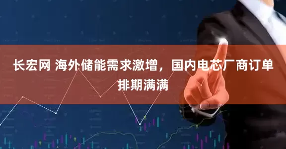长宏网 海外储能需求激增，国内电芯厂商订单排期满满