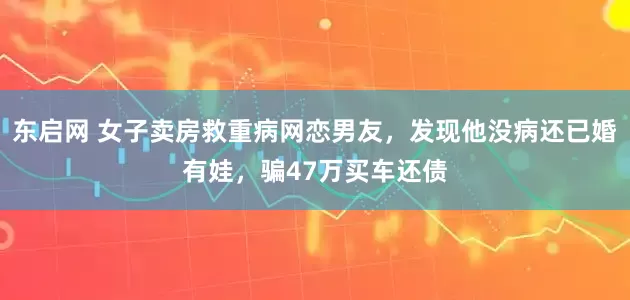 东启网 女子卖房救重病网恋男友，发现他没病还已婚有娃，骗47万买车还债