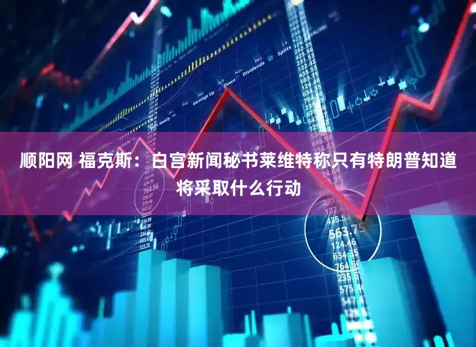顺阳网 福克斯：白宫新闻秘书莱维特称只有特朗普知道将采取什么行动