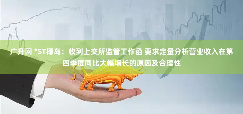 广升网 *ST椰岛：收到上交所监管工作函 要求定量分析营业收入在第四季度同比大幅增长的原因及合理性