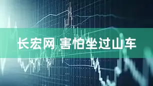长宏网 害怕坐过山车